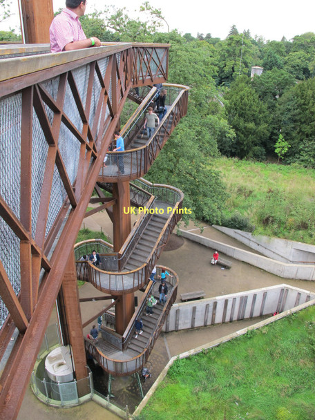 Photo 6"x4" Aerial walkway in Kew Gardens Brentford c2011