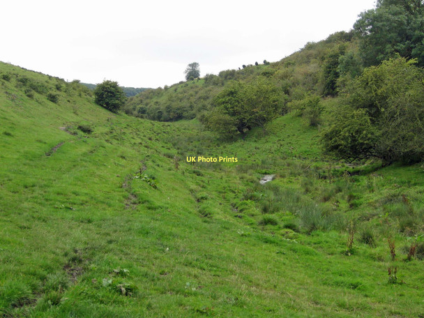 Photo 6"x4" Deep Dale Wharram Percy c2011
