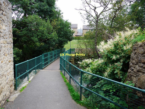 Photo 6"x4" Footbridge over Waskerley Beck Upper Town\/NZ0737 c2011