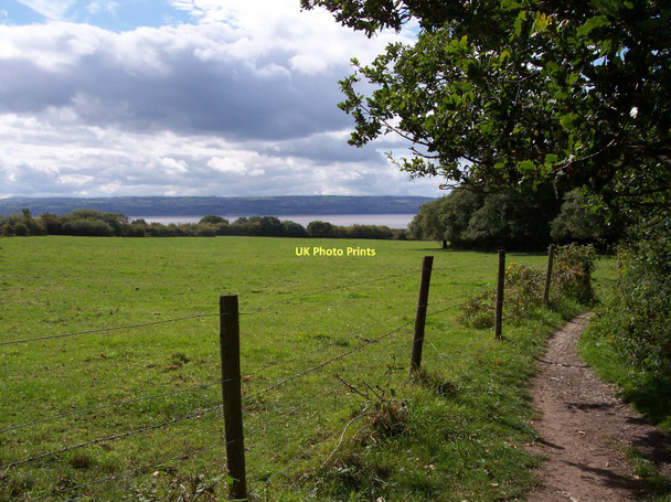 Photo 6"x4" The path to Dungeon Wood Heswall c2011