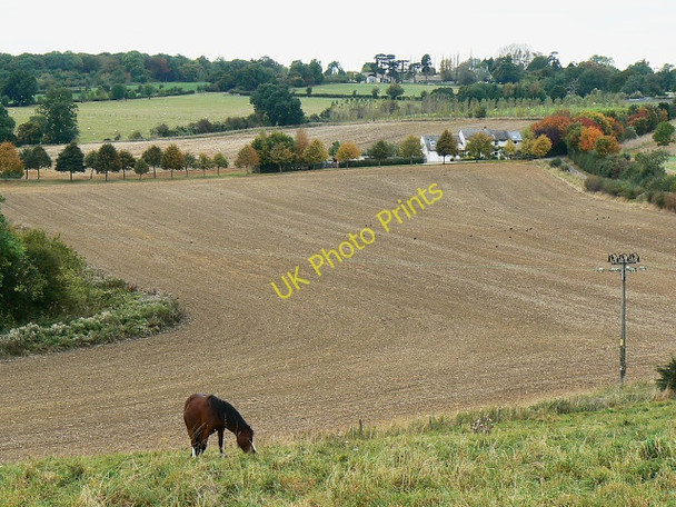 Photo 6"x4" Field, east of Bridewell Farm, East End, Witney East End\/SP3914 c2009