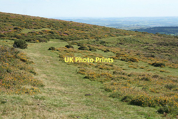 Photo 6"x4" Ilsington: track leading to Bag Tor Lewthorn Cross c2011