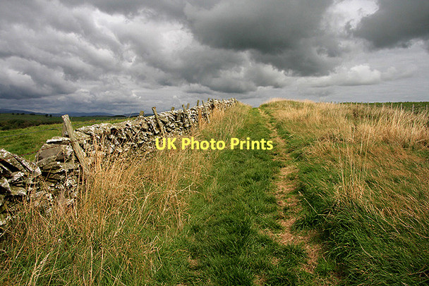 Photo 6"x4" A footpath at Borness Bar Borness c2011
