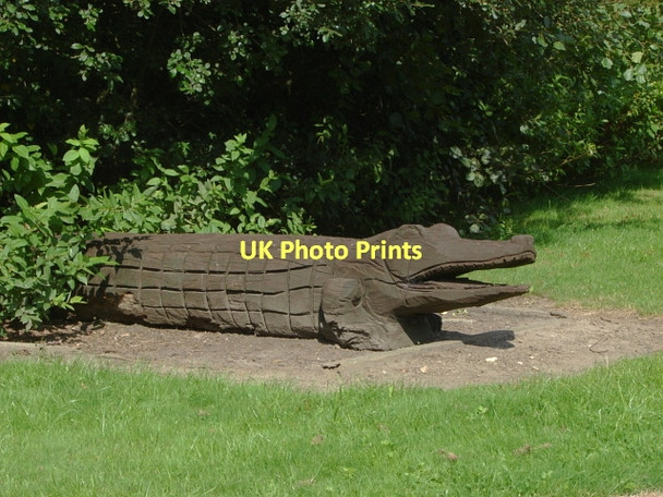 Photo 6"x4" The crocodile in the bushes Fairlands\/SU9652 c2011