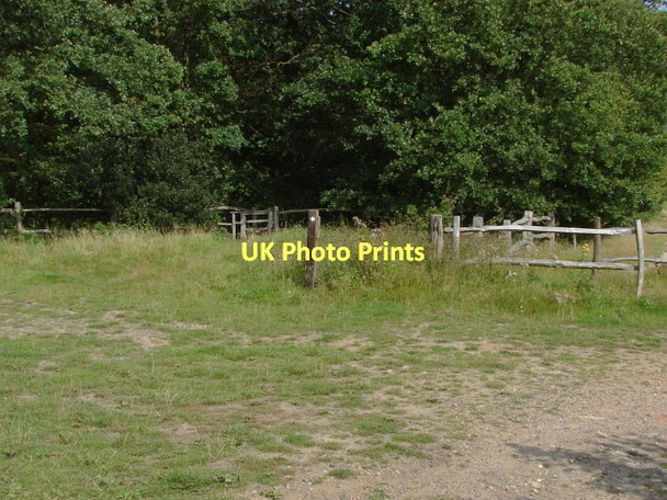 Photo 6"x4" The Fox Way, Merrist Wood Littlefield Common c2011