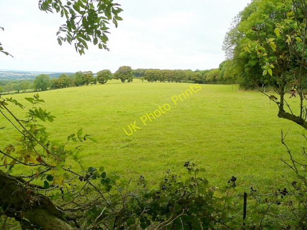 Photo 6"x4" Pasture north of Wyck Beacon Wyck Rissington c2009