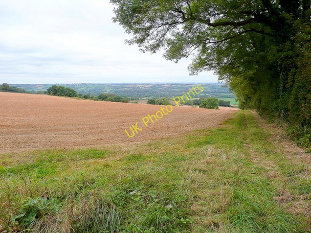 Photo 6"x4" The Oxfordshire Way Wyck Rissington c2009