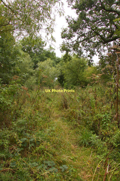 Photo 6"x4" Bridleway to Willowbrook Farm Steventon\/SU4691 c2011