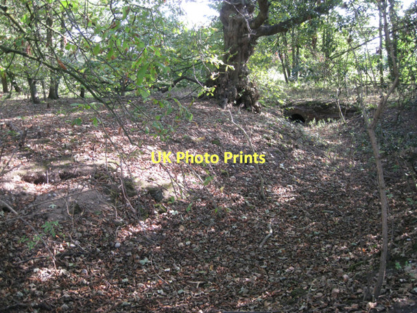Photo 6"x4" Site of a pool, grounds of Mercote Hall  Bradnock's Marsh c2011
