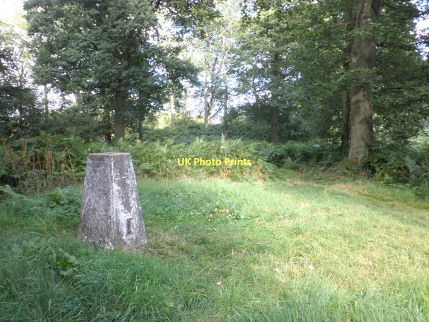 Photo 6"x4" Trig point on Aconbury Hill King's Thorn c2011