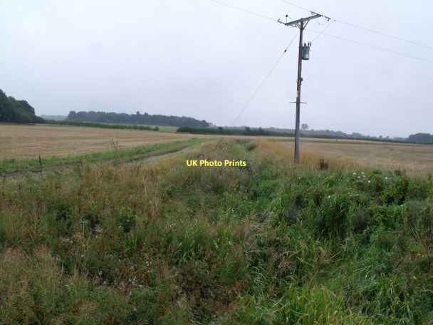 Photo 6"x4" Dry and Overgrown Haltham Beck Haltham c2011