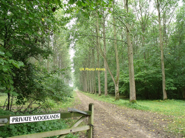 Photo 6"x4" Entrance to Fulsby Wood Kirkby on Bain c2011
