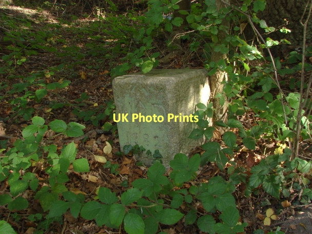 Photo 6"x4" War Department boundary stone Littlefield Common c2011