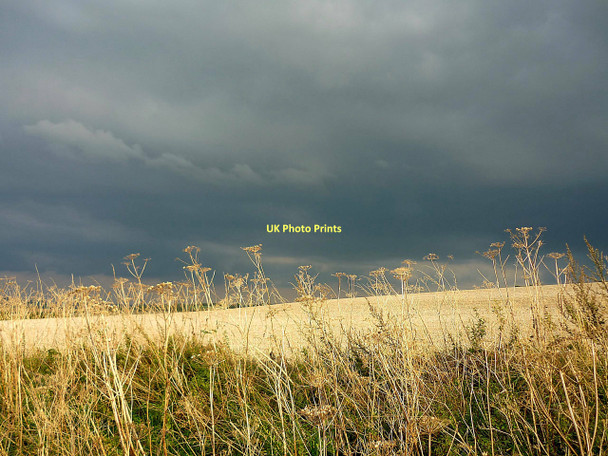 Photo 6"x4" Yewtree Hill East Ilsley c2011