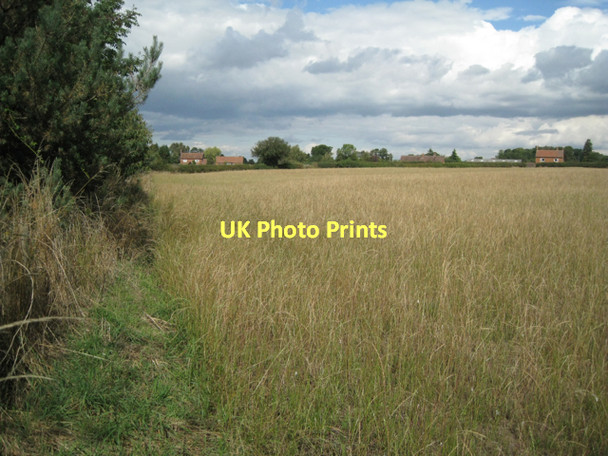 Photo 6"x4" Field of ryegrass near Marsh Farm  Bradnock's Marsh c2011
