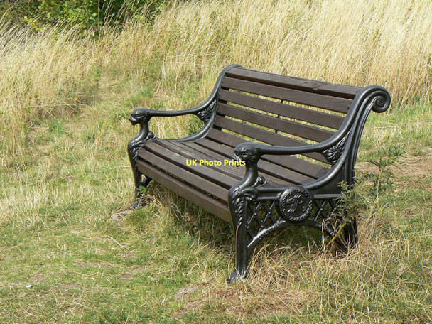 Photo 6"x4" Seat on Dewberry Hill Harlequin c2011