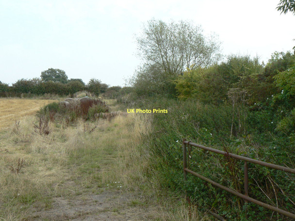 Photo 6"x4" Boundary hedge Upper Saxondale c2011