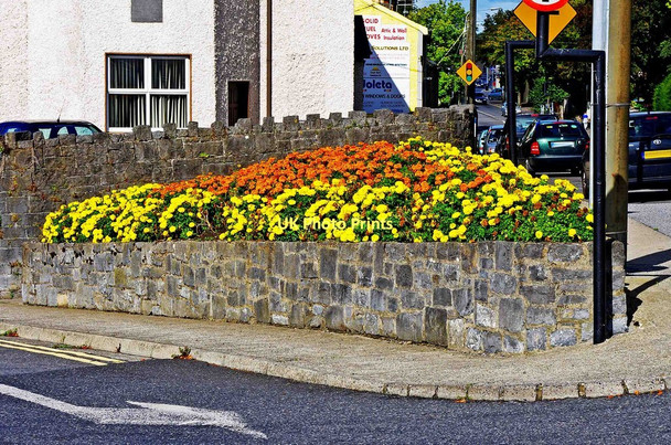 Photo 6"x4" Flowerbed at junction of Maudlin Street and Dublin Road, Kilkenny Kilkenny\/S5156 c2010