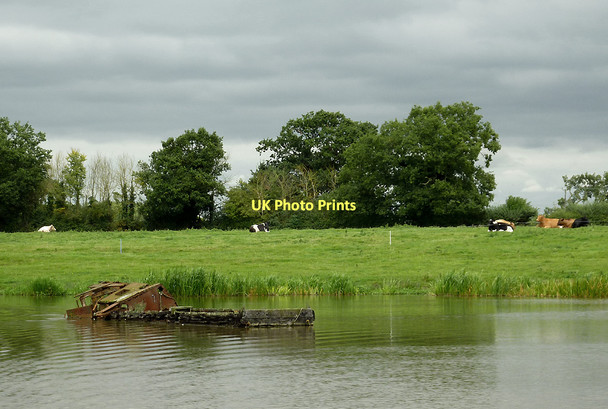 Photo 6"x4" Canal and pasture south of Rudheath, Cheshire Higher Shurlach c2011