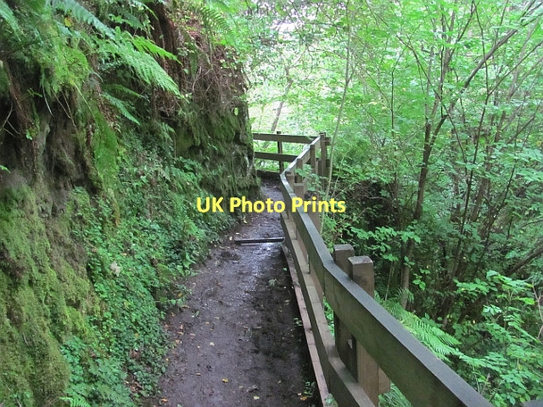 Photo 6"x4" Path, Dollar Glen Dollar c2011