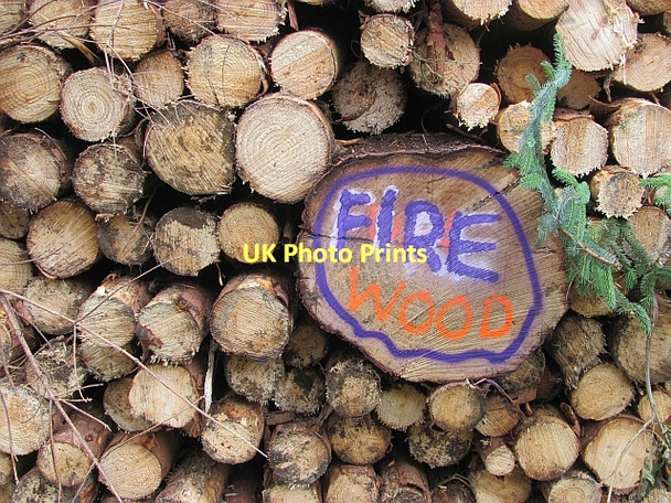 Photo 6"x4" Log pile, Rough Side Rachan Mill c2011