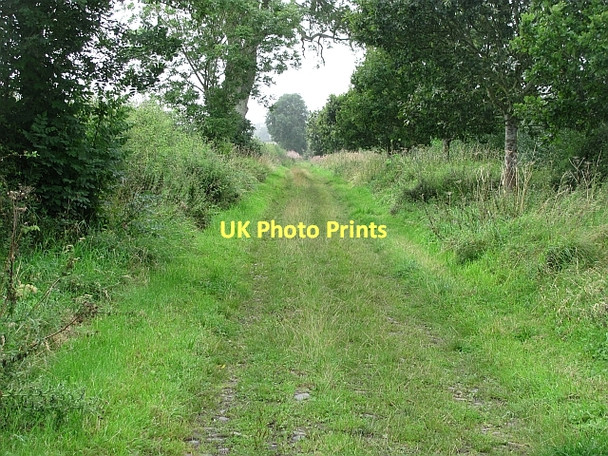 Photo 6"x4" Green lane Old Nenthorn c2011