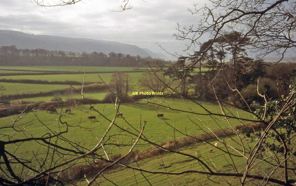 Photo 6"x4" Farmland north of Allerford Allerford\/SS9047 c1997