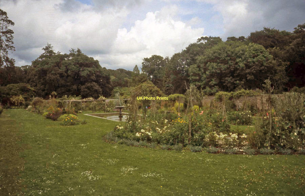 Photo 6"x4" Picton Castle Garden Millin Cross c1997