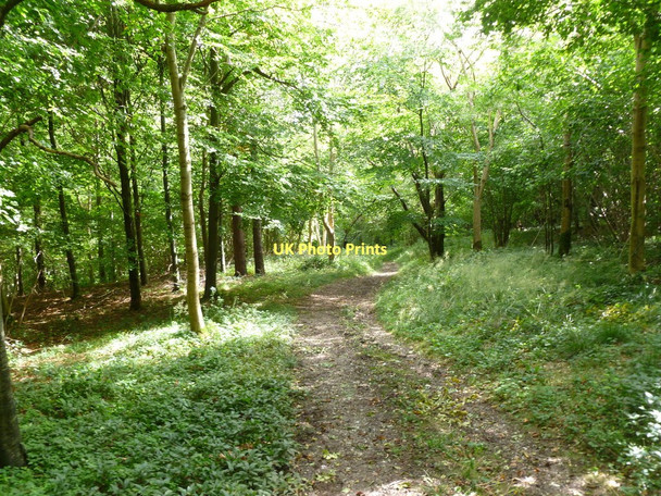 Photo 6"x4" Green Hill, bridleway Hilton\/ST7803 c2011 P1