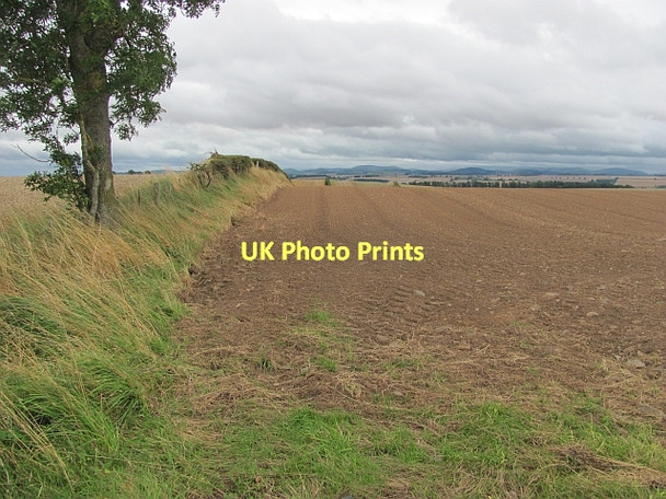 Photo 6"x4" Newly planted field Eccles\/NT7641 c2011