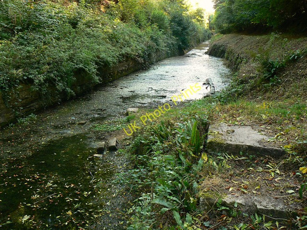 Photo 6"x4" Thames and Severn Canal and a passing place, near Tarlton Tarlton c2009