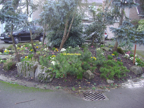 Photo 6"x4" Garden on Pipers Green Lane, Edgware Edgware c2008