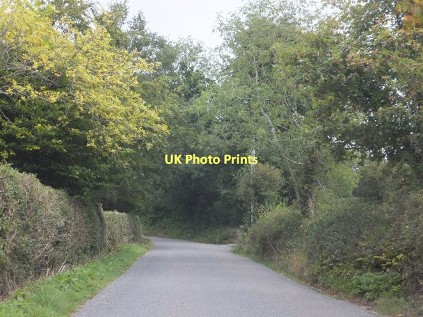 Photo 6"x4" Old Exeter Road passing Oxencombe Farm Harcombe\/SX8881 c2011