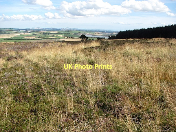 Photo 6"x4" Moorland, Benarty Hill Ballingry c2011
