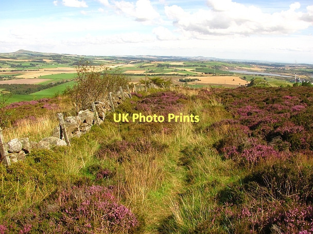 Photo 6"x4" March dyke, Benarty Hill Ballingry c2011
