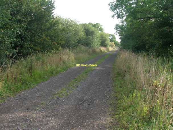 Photo 6"x4" Arksey Common Lane Long Sandall c2011