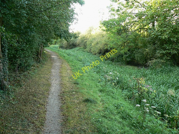 Photo 6"x4" Thames and Severn Canal, east of South Cerney South Cerney c2009