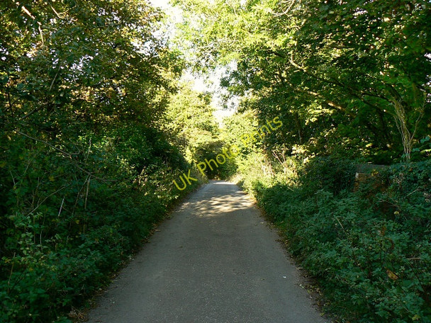 Photo 6"x4" Very minor road east from South Cerney South Cerney c2009
