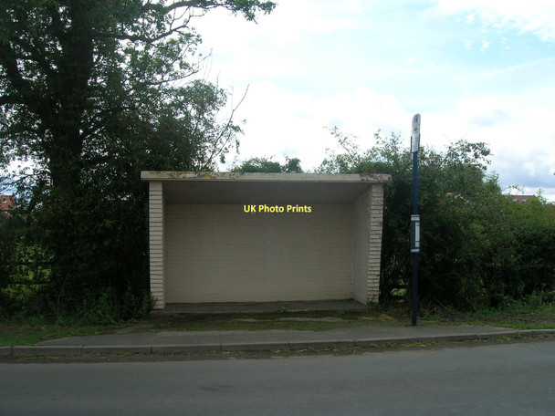 Photo 6"x4" Bus shelter, Moss Moss\/SE5914 c2011