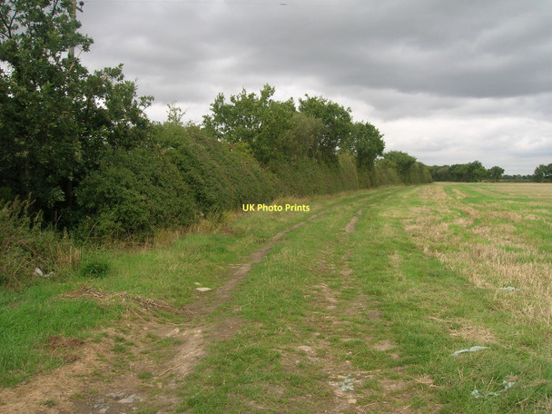 Photo 6"x4" Footpath towards Fenwick Moss\/SE5914 c2011