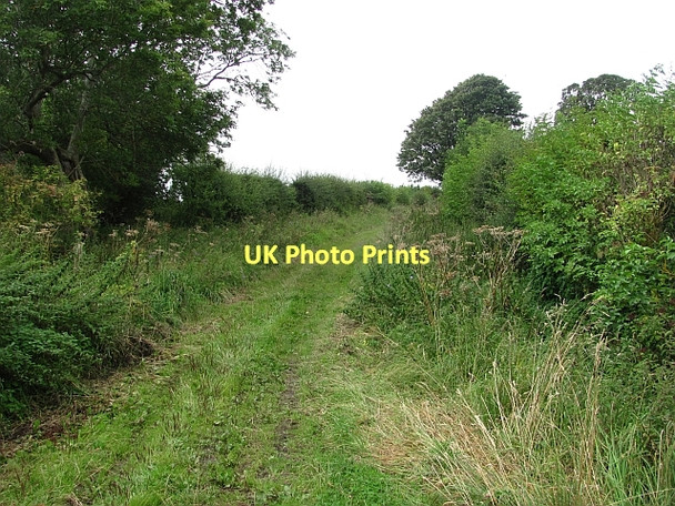 Photo 6"x4" Ednam to Hendersyde path Edham c2011