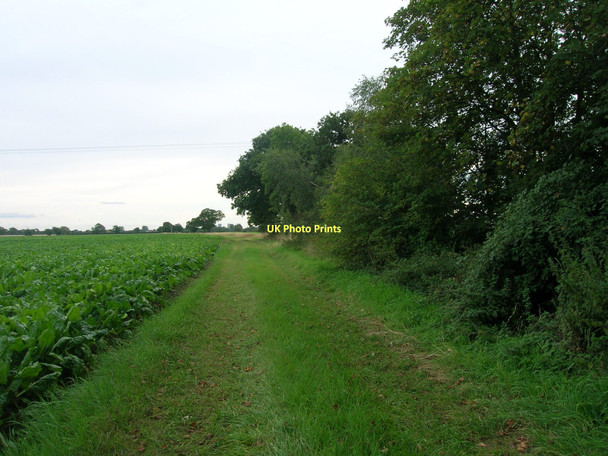 Photo 6"x4" Farm track off Lowgate Fenwick\/SE5916 c2011