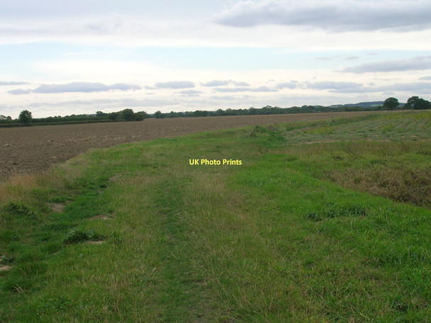 Photo 6"x4" Neville Pits Lane (track) Balne c2011