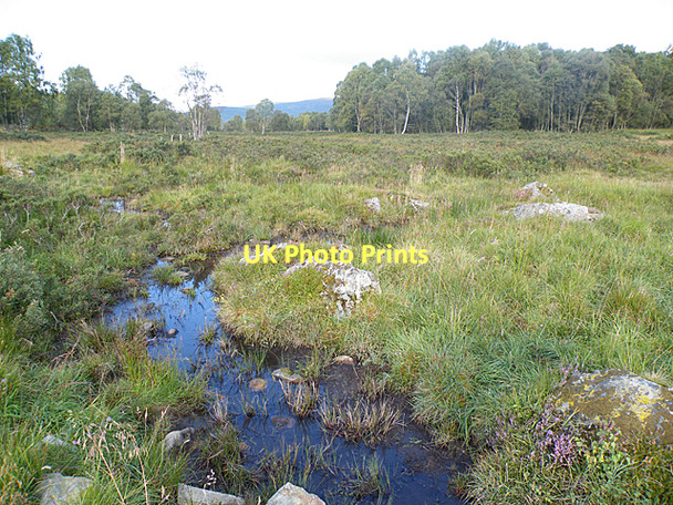 Photo 6"x4" Boggy Ground (west) Ordie\/NJ4501 c2011
