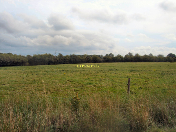 Photo 6"x4" Broyle Gate Farm Rushy Green c2011