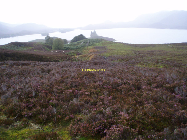 Photo 6"x4" Ruins on Moorland above Loch Tarff Murligan Hill c2011