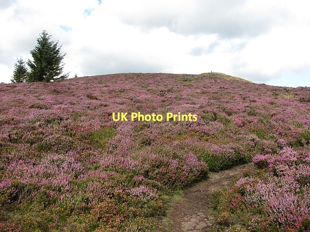 Photo 6"x4" Benarty Hill, Seamark Ballingry c2011