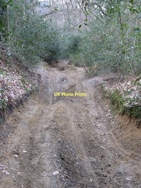 Photo 6"x4" Byway just east of Gibbet Hill Grayswood c2010