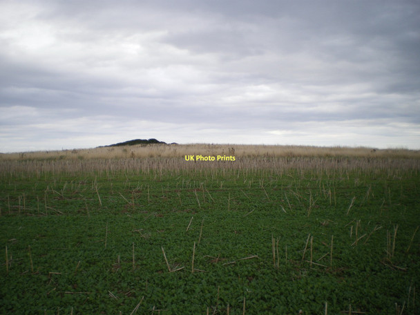Photo 6"x4" Cross Bow Hill tumulus Flamborough c2011