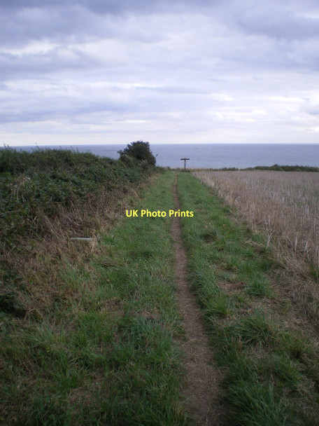 Photo 6"x4" The footpath to New Fall from Lighthouse Road Flamborough c2011